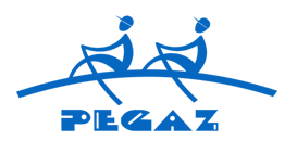 pegaz.png
