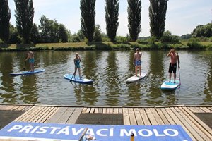 paddle.jpg