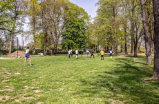IMG_6936.jpg IMG_6936.jpg